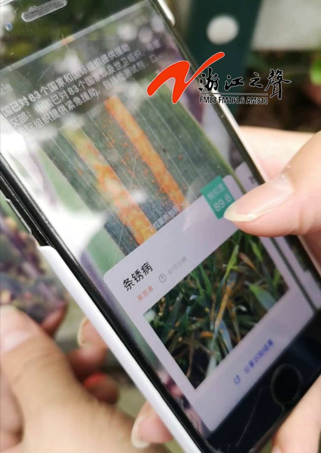1585622838775858.jpg